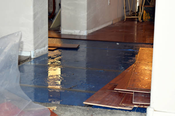 Professional Water Damage Restoration technician working in Sixes, OR